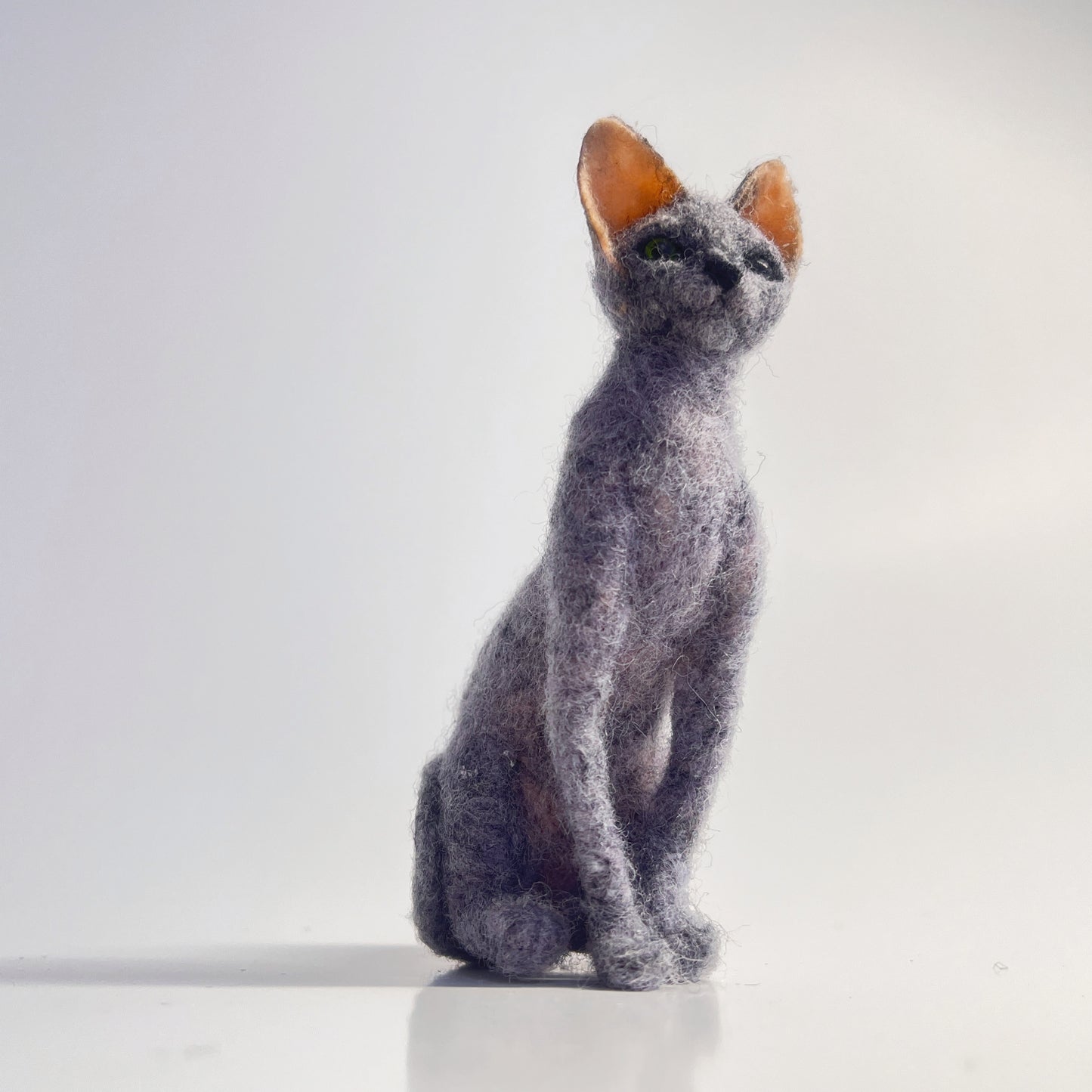Miniature Needle Felted Blue Sphynx Cat Upward View