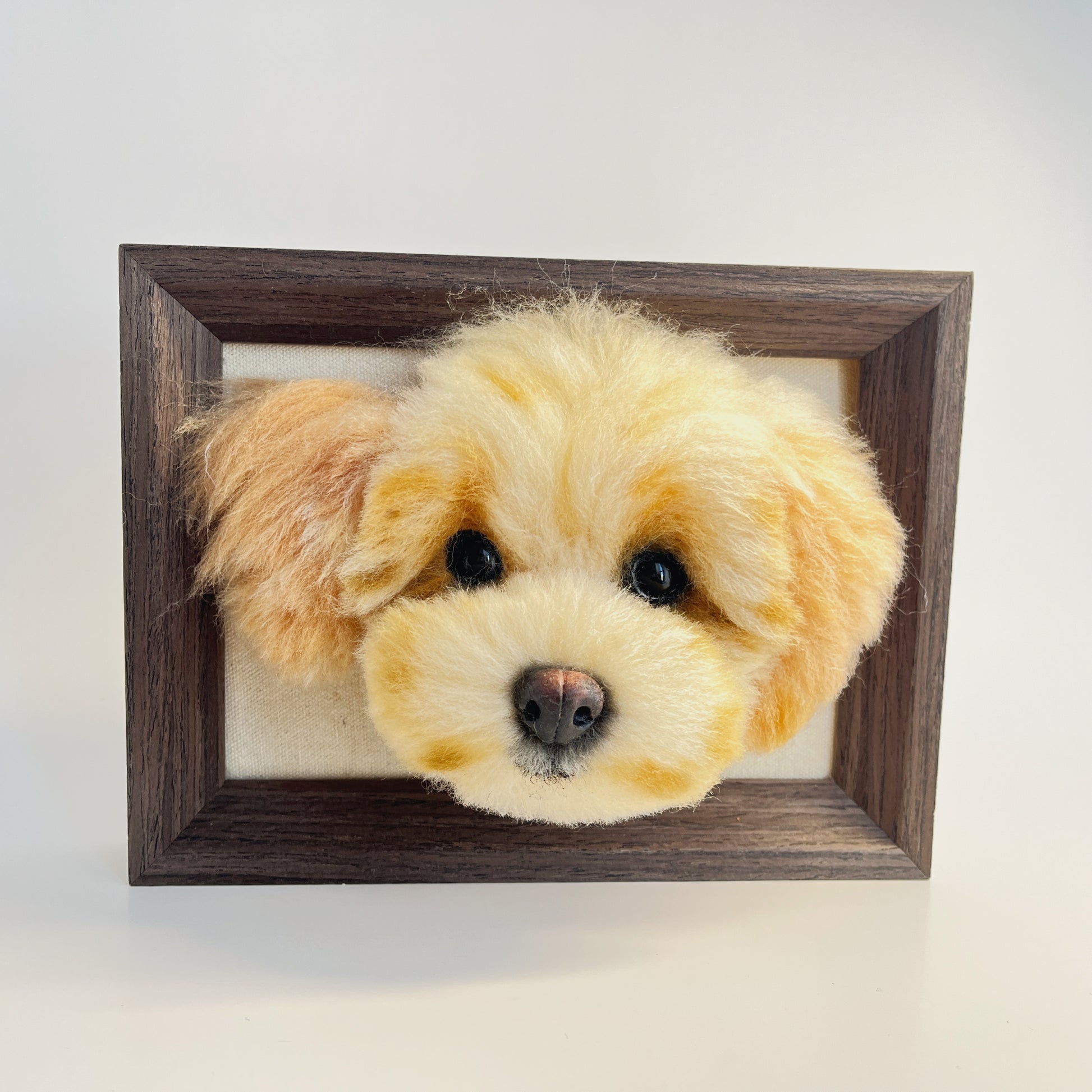 Framed needle felted Maltipoo dog portrait front view