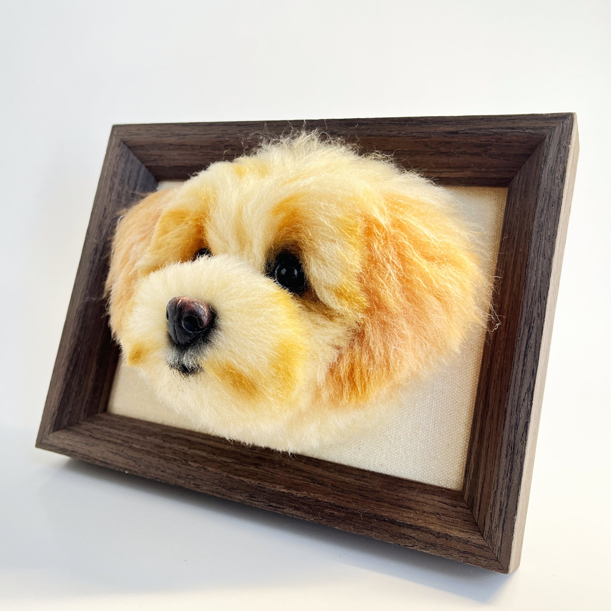 Framed needle felted Maltipoo dog portrait right side view