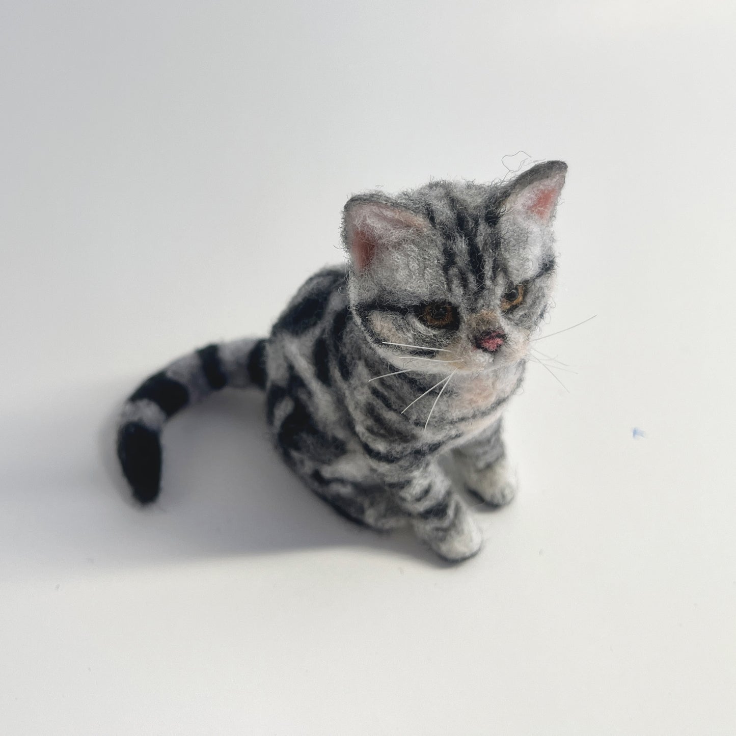 Miniature Needle Felted American Shorthair Cat Front Side Ariel View