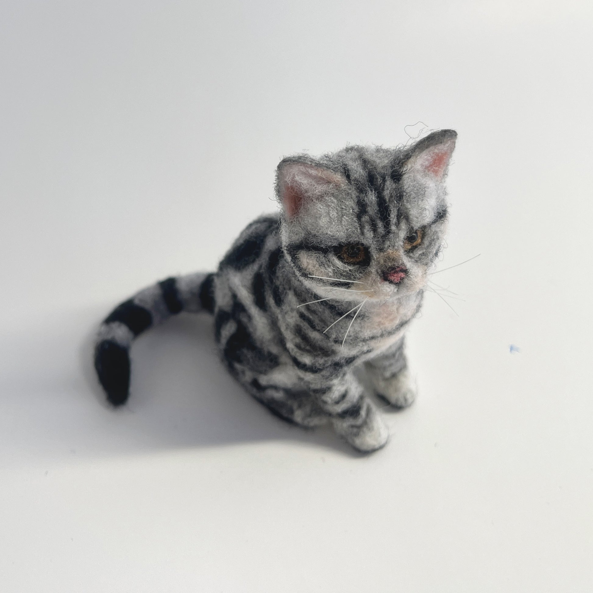 Miniature Needle Felted American Shorthair Cat Front Side Ariel View