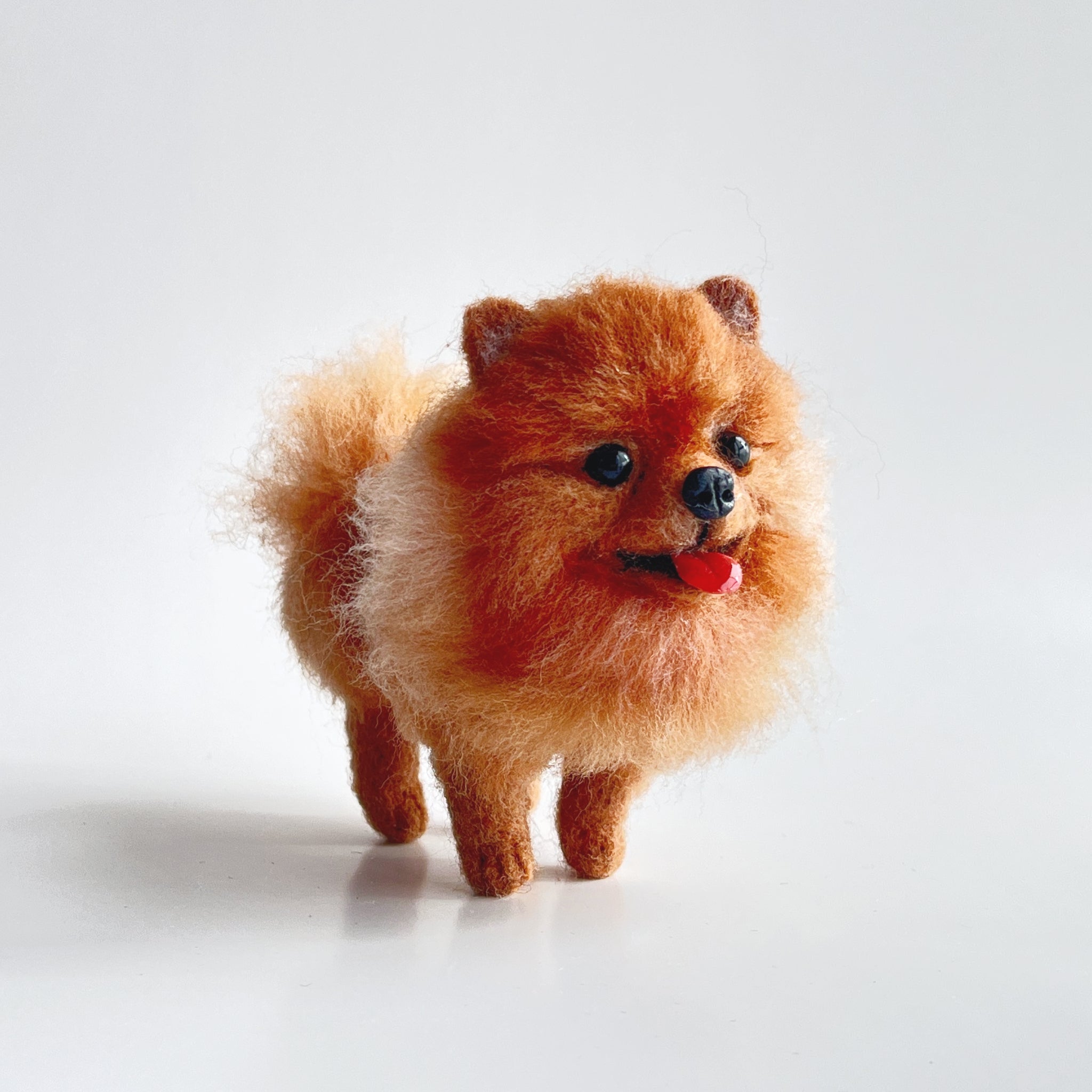 Miniature toy pom best sale