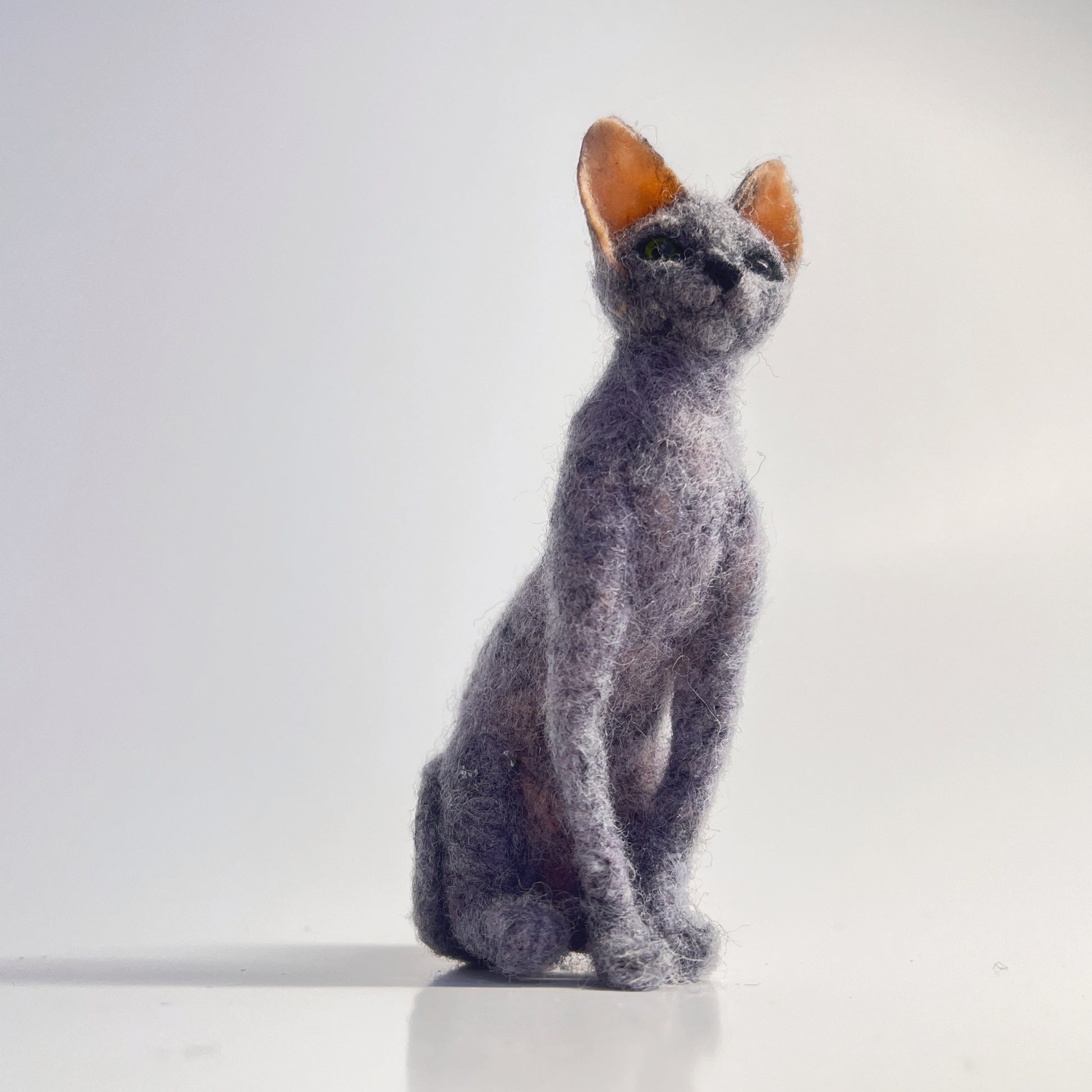 Miniature Needle Felted Blue Sphynx Cat Upward View